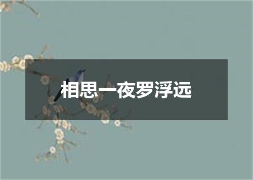 相思一夜罗浮远
