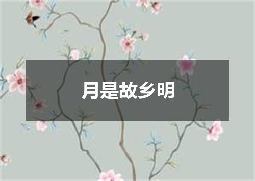 月是故乡明