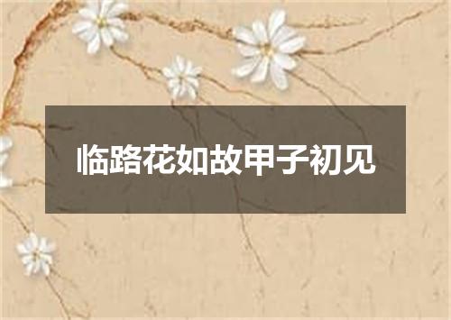 临路花如故甲子初见