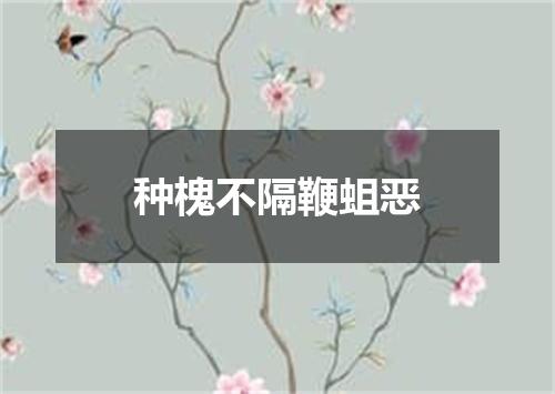 种槐不隔鞭蛆恶
