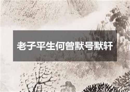 老子平生何曾默号默轩