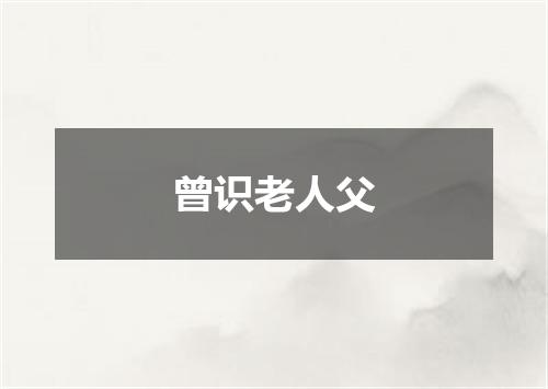 曾识老人父