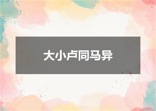 大小卢同马异