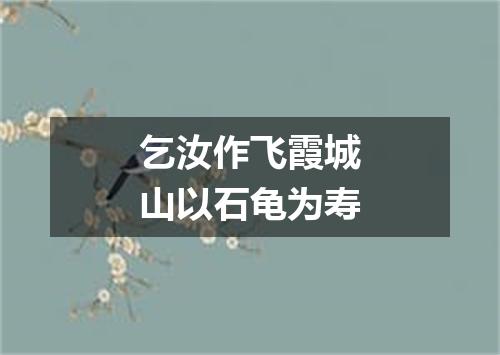 乞汝作飞霞城山以石龟为寿