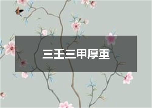 三壬三甲厚重