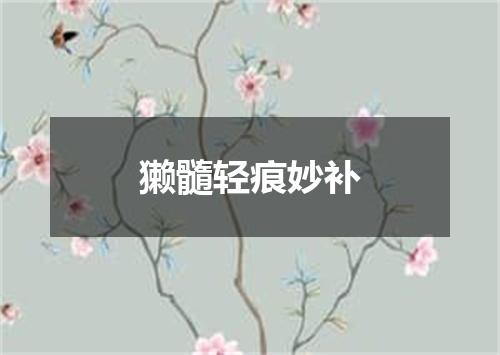 獭髓轻痕妙补