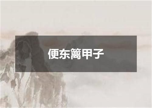 便东篱甲子