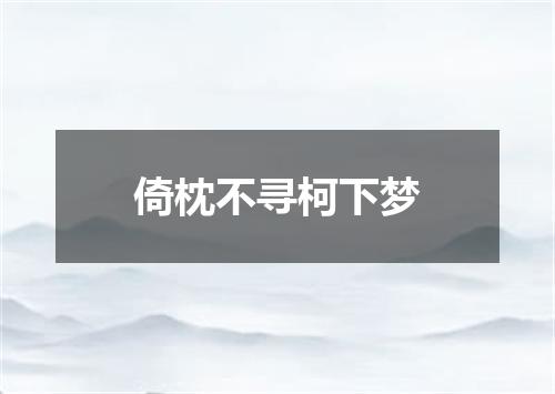 倚枕不寻柯下梦