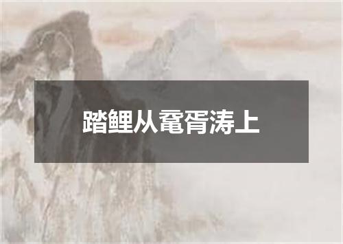 踏鲤从鼋胥涛上