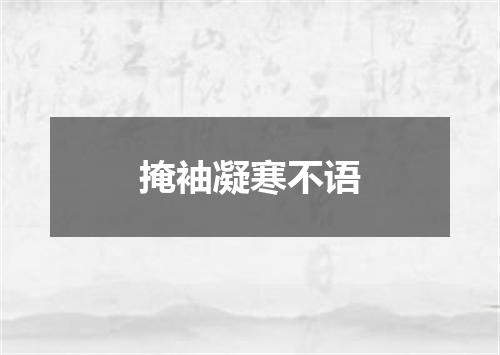掩袖凝寒不语