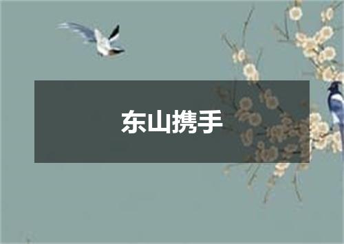东山携手