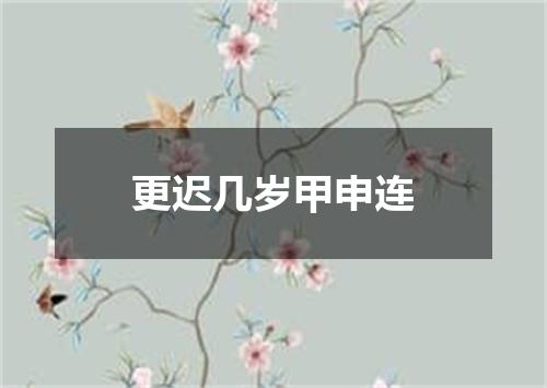 更迟几岁甲申连