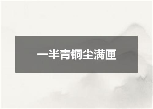一半青铜尘满匣