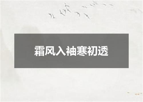 霜风入袖寒初透