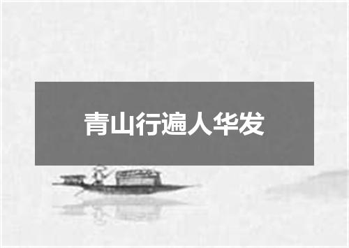 青山行遍人华发