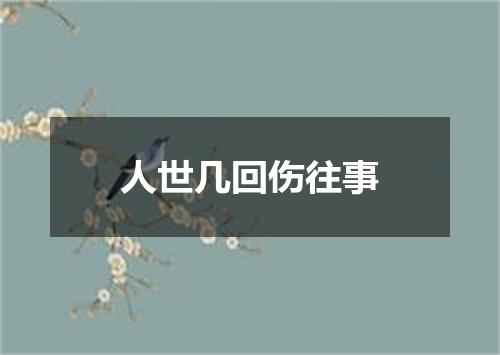 人世几回伤往事