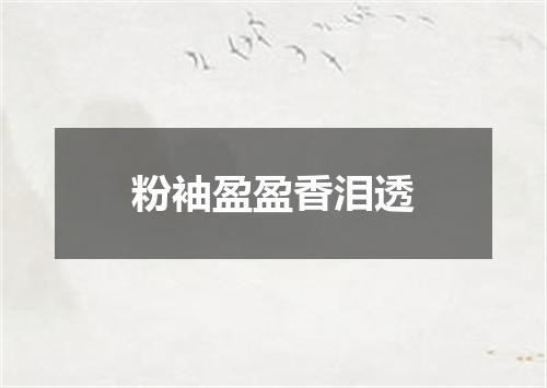 粉袖盈盈香泪透