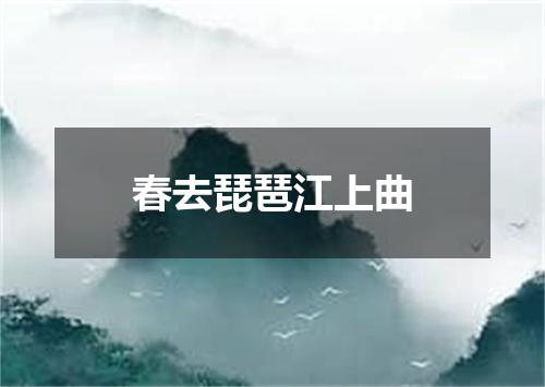 春去琵琶江上曲