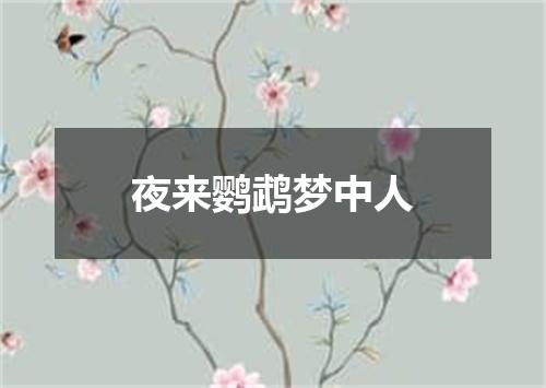 夜来鹦鹉梦中人