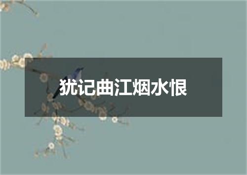 犹记曲江烟水恨