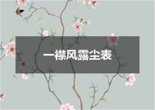 一襟风露尘表