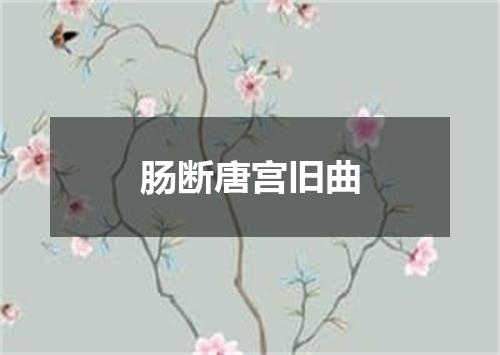 肠断唐宫旧曲