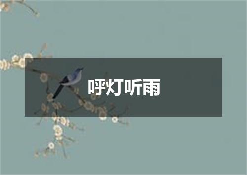 呼灯听雨