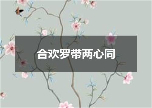 合欢罗带两心同