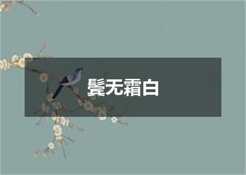 鬓无霜白
