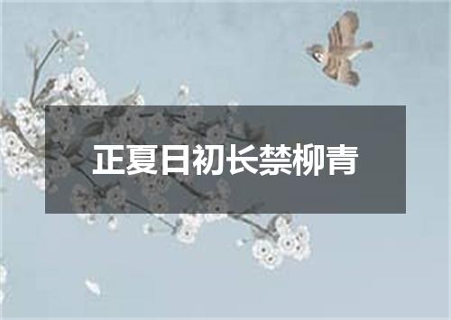 正夏日初长禁柳青