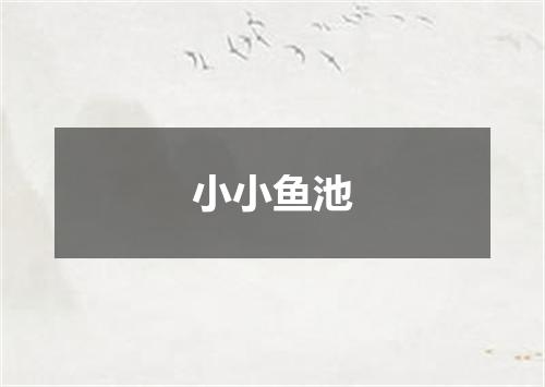 小小鱼池