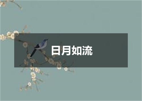 日月如流