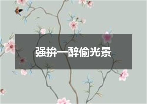 强拚一醉偷光景