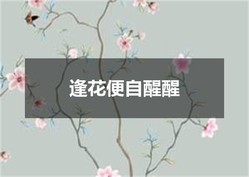 逢花便自醒醒