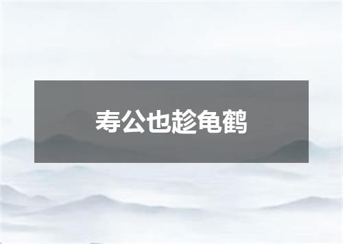 寿公也趁龟鹤
