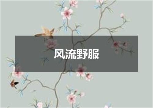 风流野服