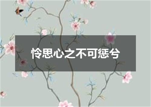 怜思心之不可惩兮
