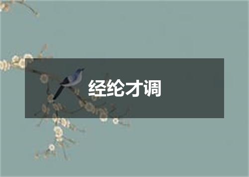 经纶才调