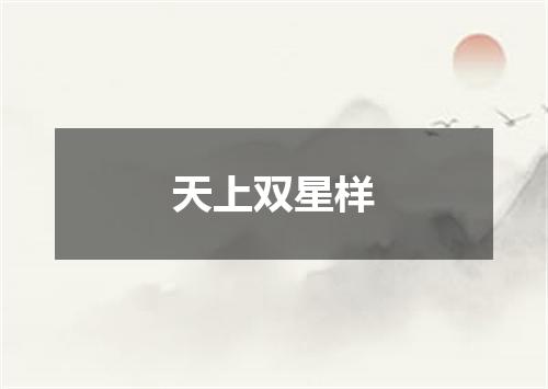 天上双星样