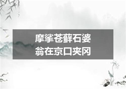 摩挲苍藓石婆翁在京口夹冈