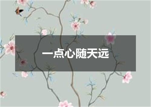 一点心随天远