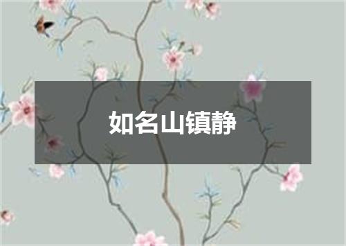如名山镇静