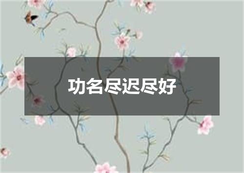 功名尽迟尽好