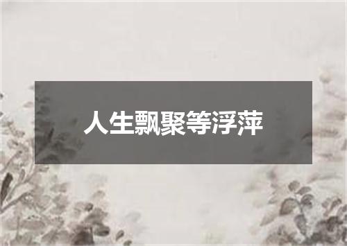 人生飘聚等浮萍