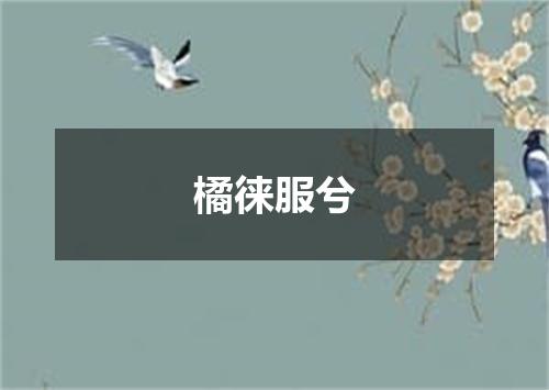 橘徕服兮