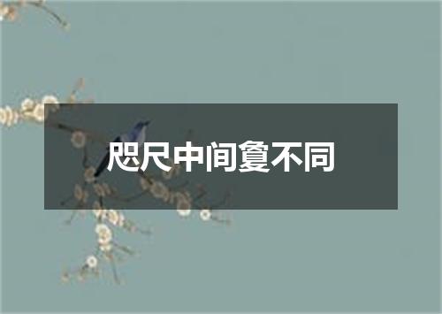 咫尺中间敻不同