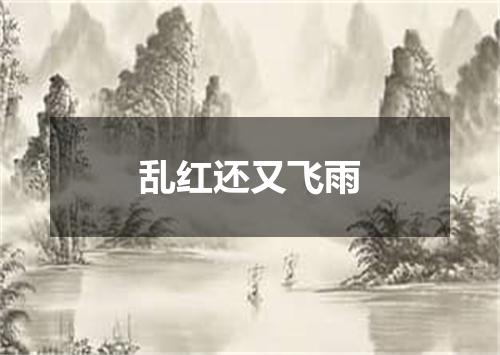 乱红还又飞雨