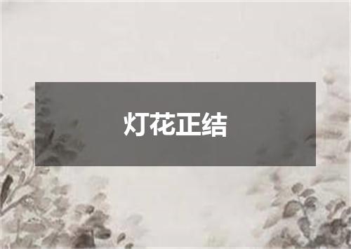 灯花正结