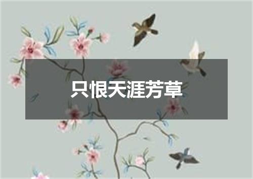 只恨天涯芳草
