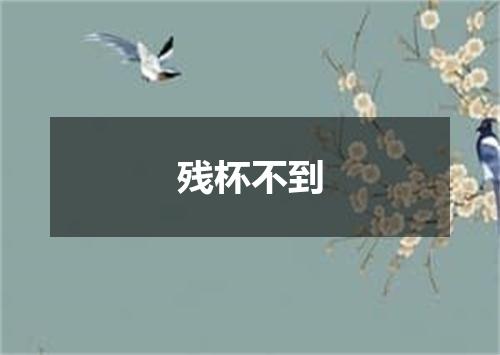 残杯不到